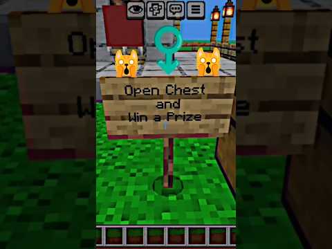 🎯 Minecraft Target Challenge Can I Light Them All ?  @HomoodeG
