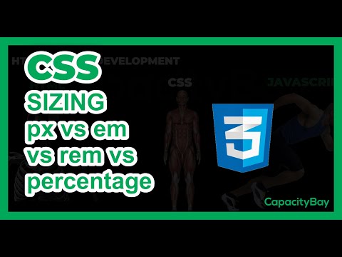 CSS Box Sizing | Learn CSS 08