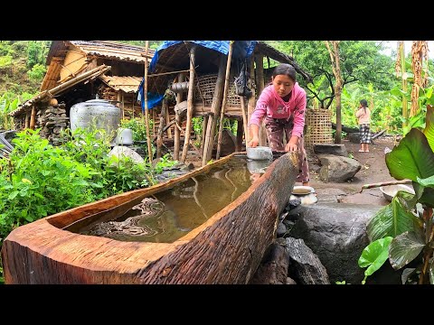 LSecret Recipes from the Village: Cooking with Wild Nettle!
