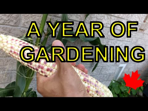 ENG & KR SUB) 일년동안의 캐나다 집 정원 A YEAR OF GARDENING- HAPPY NEW YEAR!