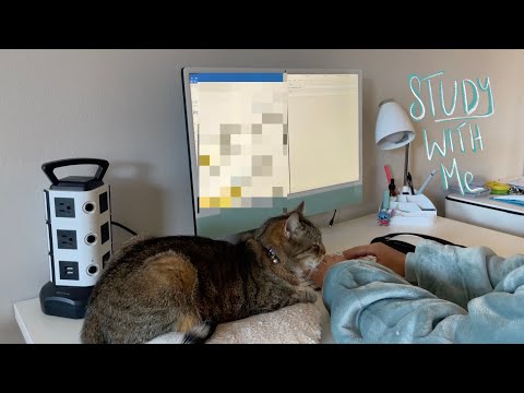 Study With Me... And Willow