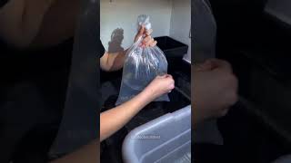 From Mockery to Success: A Fish Lover’s Journey😍