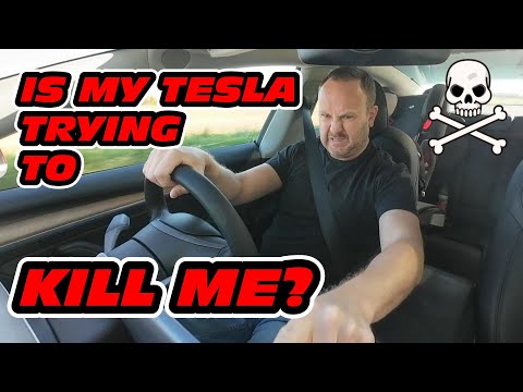 My Tesla Model 3’s Driver Assistance Systems drive me mental