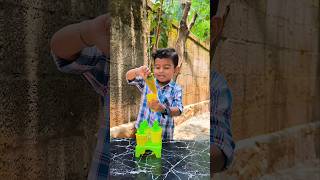 Kiwi Popsicle🥝#trendingonyoutube#viral #cooking#baby#shortfeed#trending#zayan #trendingvideo#youtube