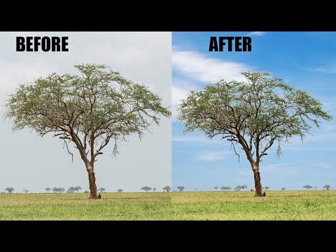 How To Remove & change complex background in PS with channels #photoshop_tutorial #removebackground