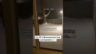 TREE EXPLOSION It’s -30° in Minnesota and a Tree Just Exploded 😳❄️