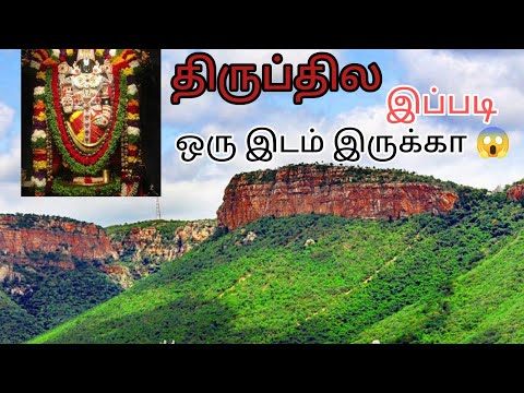 Tirupathiல epdi oru spot irukaa.!! 😱 Kovil matum tana irukunu nenaichen #tirupati #tirumala #tamil