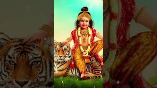 ഹരിവരാസനം🙏#harivarasanam സ്വാമിയേ #ayyappa #sabarimala #makarsankranti #makaravilakku #makarajyothi