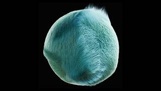 The Hairy Ball Theorem