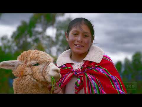 Peru 8K HDR 60FPS FUHD4K