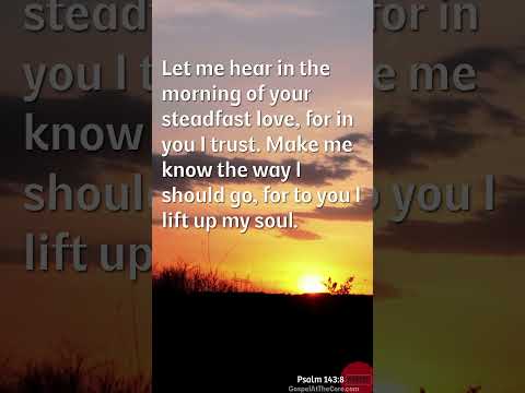 Psalm 143:8 #psalm143  #shorts #scripture