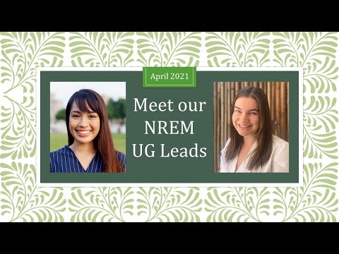 Meet the NREM Undergraduate Leads!