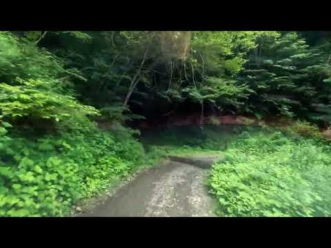 2023年7月18日_帝釈山林道（馬坂峠）1/2