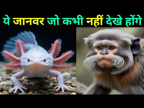 धरती के सबसे विचित्र जानवर | Nature के अद्भुत जीव 😱