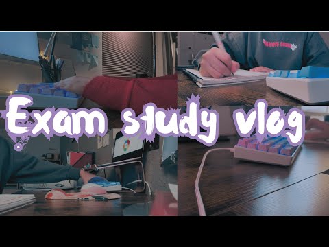 Exam study vlog| Business exam, intense 3 days of studying and study motivation