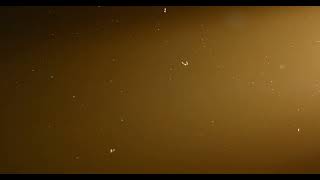 floating natural particles of dust with yellow beams from right 4K