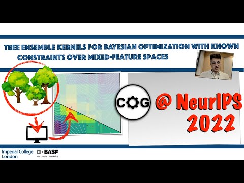 Alexander Thebelt: Tree ensemble kernels for BO with known constraints over mixed-feature spaces