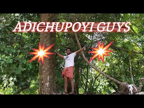 Adichu poyi guys😂