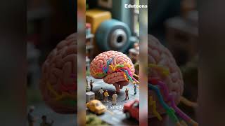 Why We Dream | Quick Science Explained in Minutes