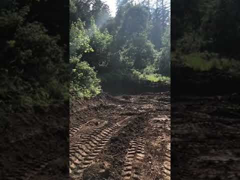 Murder Mountain - Humboldt county