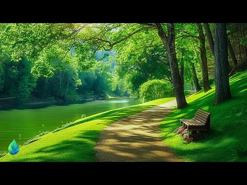 Instrumental piano music helps stabilize emotions 🌿 Calm the mind, heal the soul from within