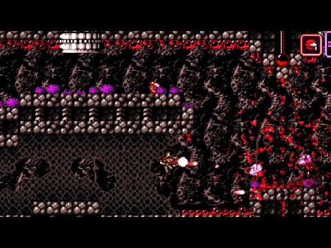Axiom Verge: PC/ Android Emulation.