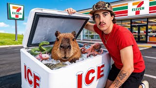 I Found Abandoned Animals in a Ice Machine…
