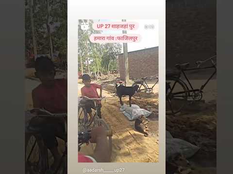 मेरा हाल बुरा है लेकिन तुम कैसी हो लिखना💔💔💔