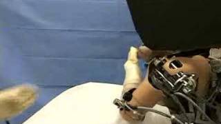 Brain Powered Robot Control