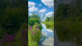 most beautiful places in bangladesh,bangladesh,top 10 beautiful places in bangladesh, #shortvideos