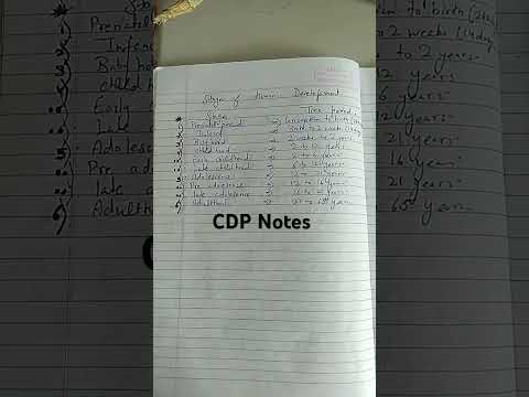 cdp notes for ctet/stages of human development#cdpctet #ctet2024