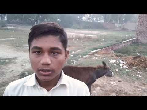 Donkey ki baat