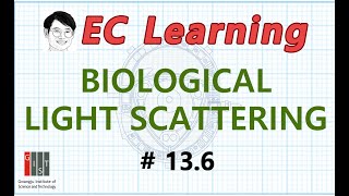 13.6 Biomedical Optics: BIOLOGICAL LIGHT SCATTERING