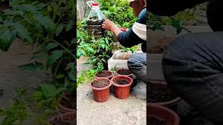 #garden #farming #satisfying #agriculture #gardening #agritools #117 #short