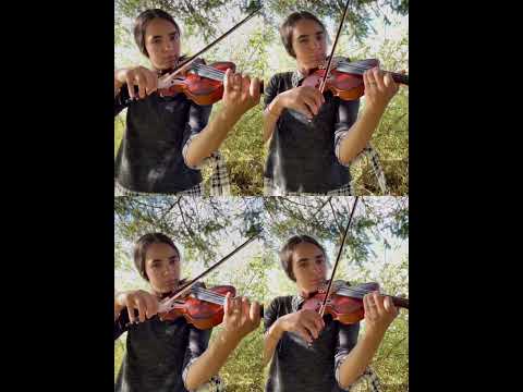 Violin Duet with Myself! #violinist #music #musician #strings #duet #duetwithmyself