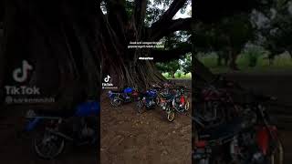 shoert#storywa#storywakeren#storywaviral#storywaherek#vidokeren