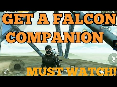 How to get a falcon in pubg | MUST WATCH!