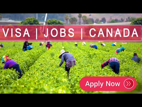 Farm Jobs in Canada: Visa Sponsorship for International Workers!