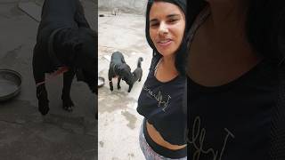 Bom dia 😀 #shorts #ppitutorial ppi