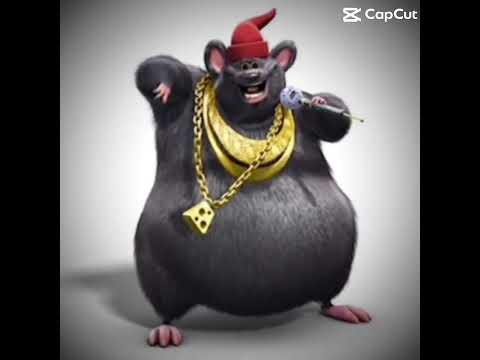 THE BEST RAT!!