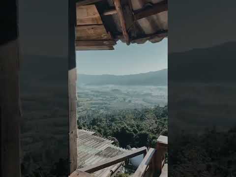 Best Life line 😘😘🥰