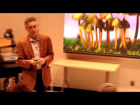 How Psychedelics are Still a Mystery - Prof. Jordan Peterson