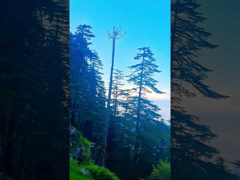 #song #naturelovers #travel #beauty #peaceful #vlog