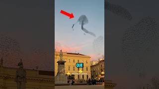 Top 5 fenómenos naturales más increíbles que no parecen reales 😦