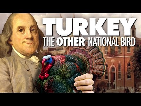 Turkey: The Other National Bird | Benjamin Franklin's Strange Proposal