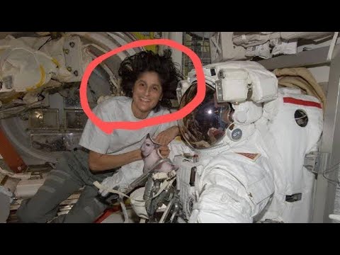 Shocking Details About Sunita Williams' Return to Earth!