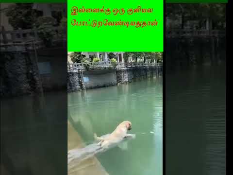 ரொம்ப ஸ்ட்ரிக்டான கம்பெனியா இருக்குமோ