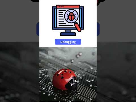Why do we call software issues "bugs"? #minutetolearn