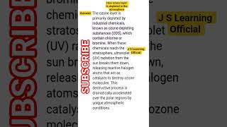 how ozone layer is depleted in the atmosphere // J S Learning Official . Chemistry