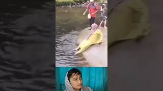 Emak Emak Gak bisa Salah pokoknya #viral #fyp #lucu #lucubanget #sort #sorts